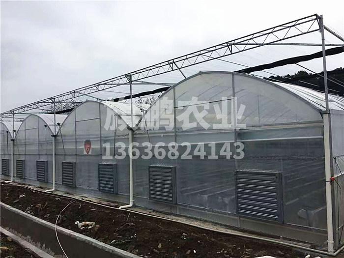 冰球突破app下载农业