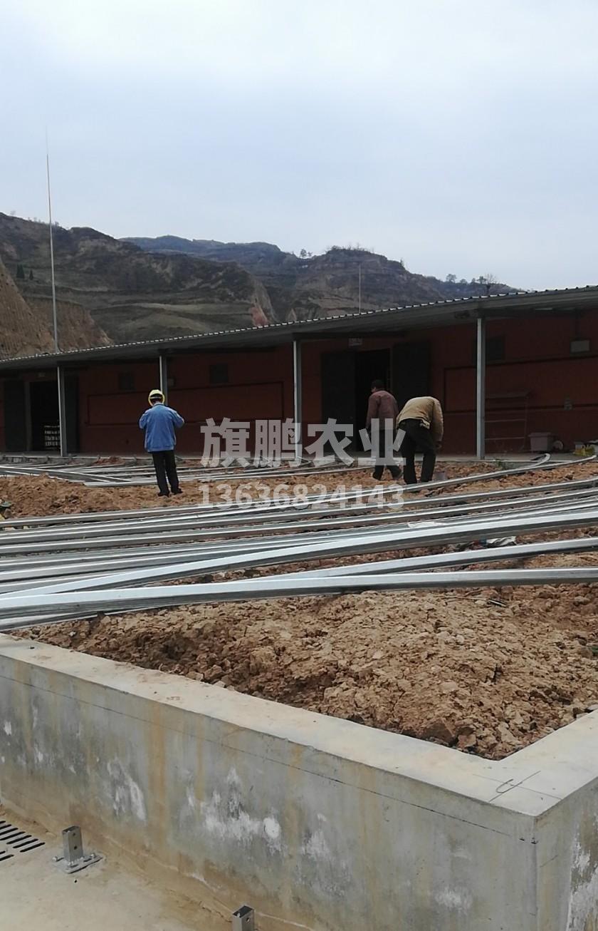 冰球突破app下载农业