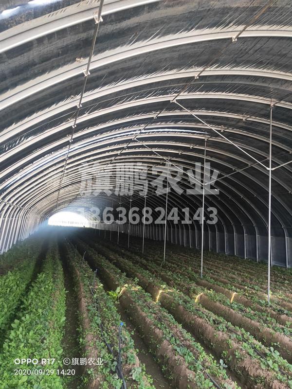 冰球突破app下载农业