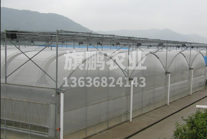 冰球突破app下载农业