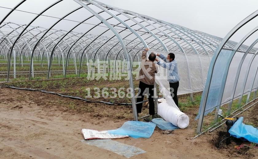 冰球突破app下载农业