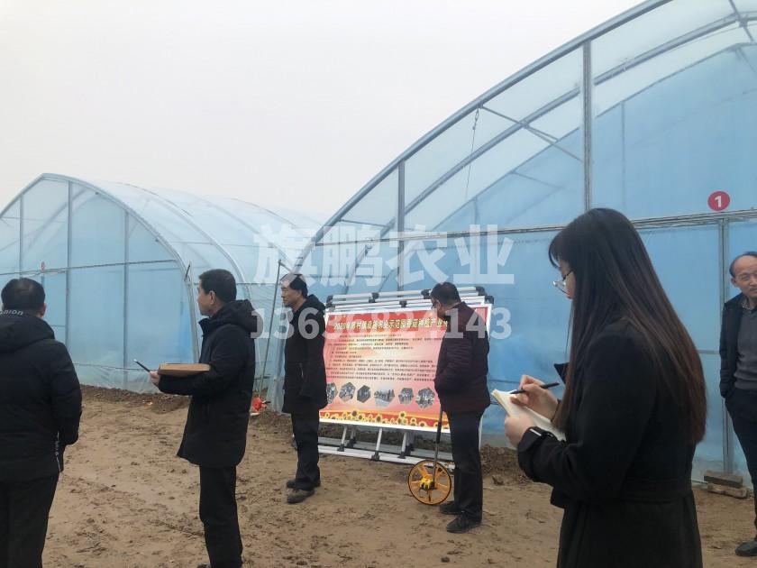 冰球突破app下载农业