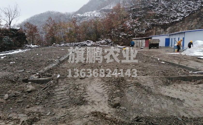 冰球突破app下载农业