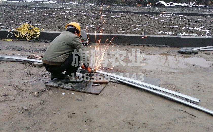 冰球突破app下载农业