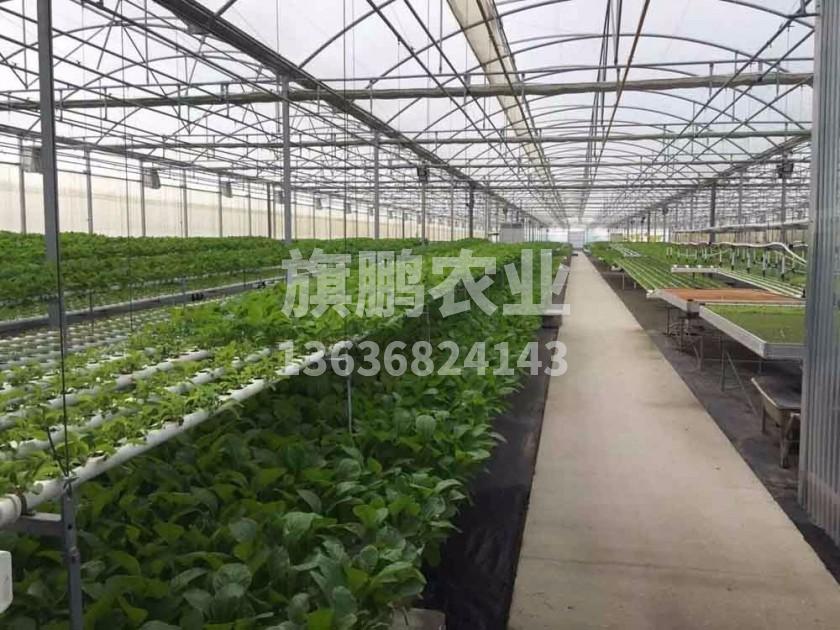 冰球突破app下载农业