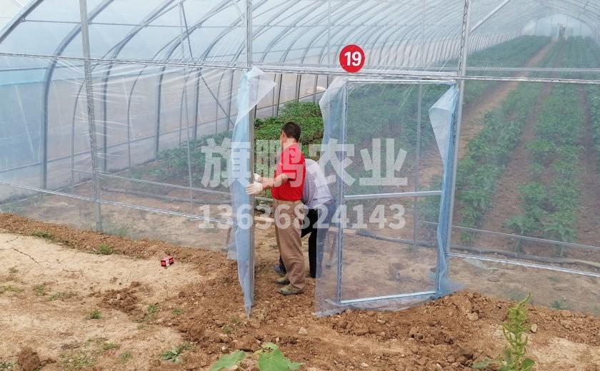 冰球突破app下载农业