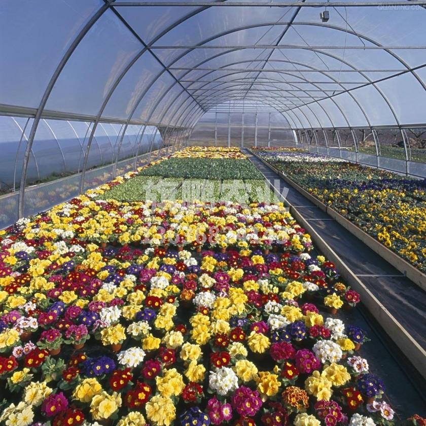 冰球突破app下载农业