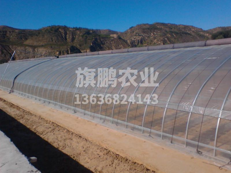 冰球突破app下载农业