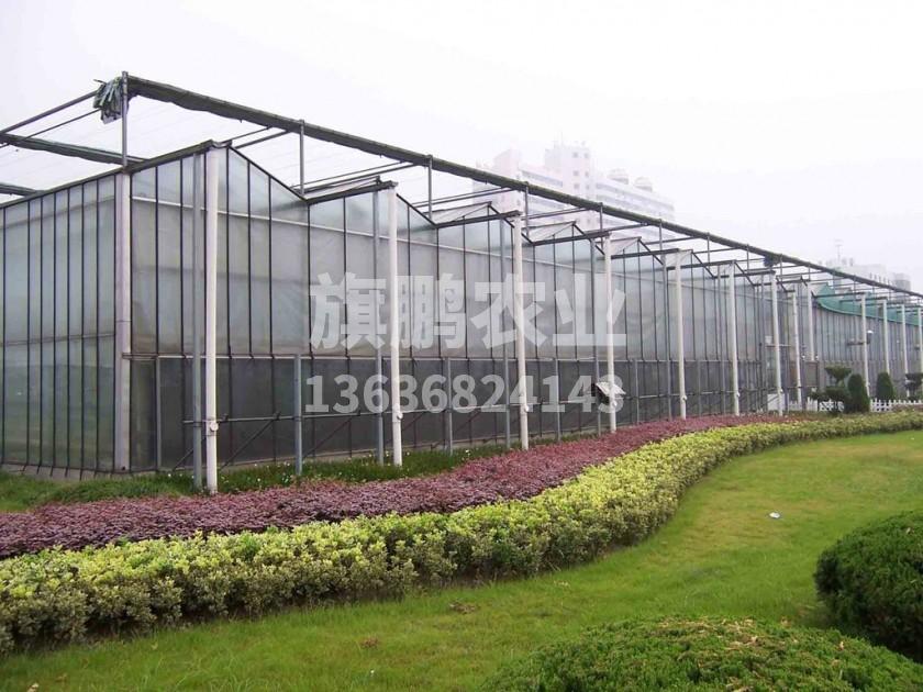 冰球突破app下载农业