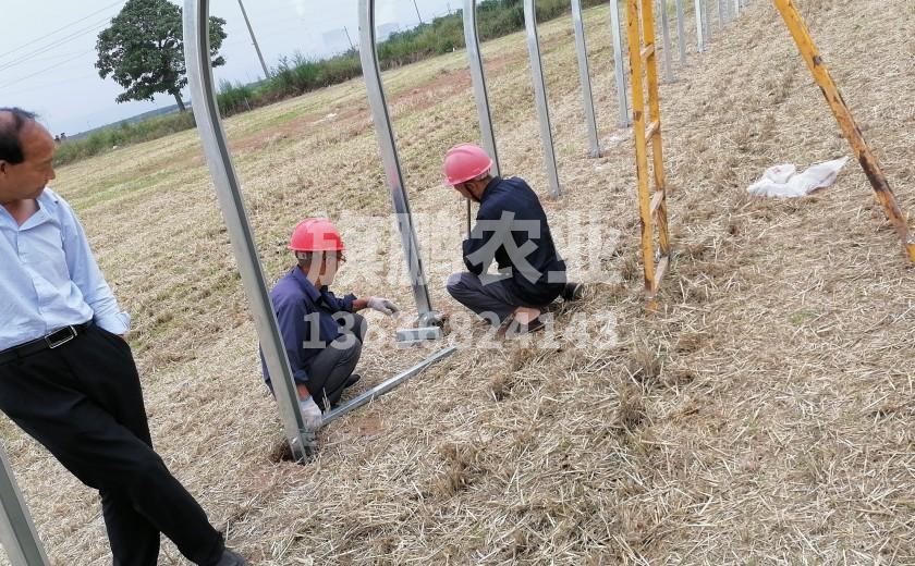 冰球突破app下载农业