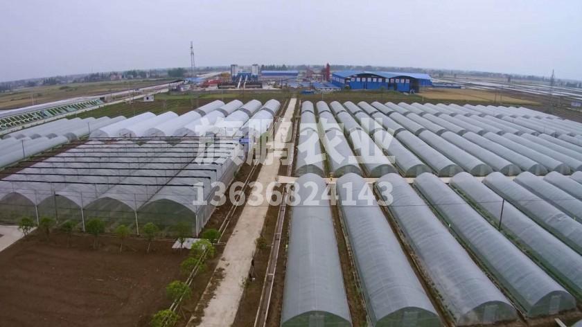 冰球突破app下载农业