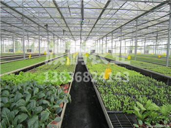 修建温室大棚应留意的4个关键点？